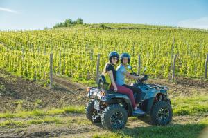 Istra Buggy