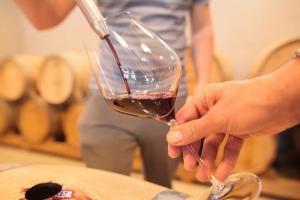 Istrian Wine Stories That Bring Families Together