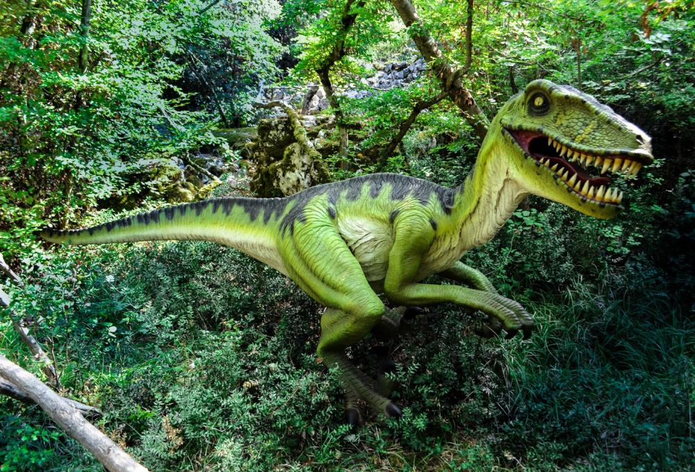 Dino Park | Experiences in Istria